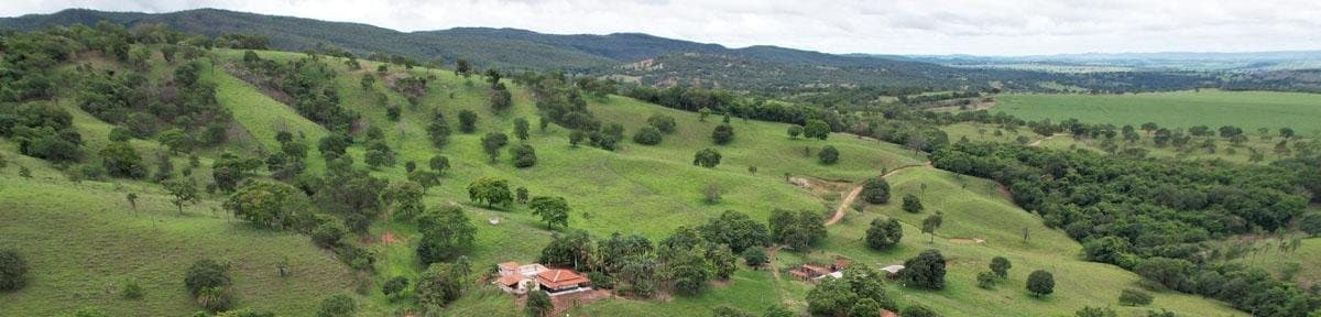 Vista aérea de pastagem ondulada com represa e mata nativa