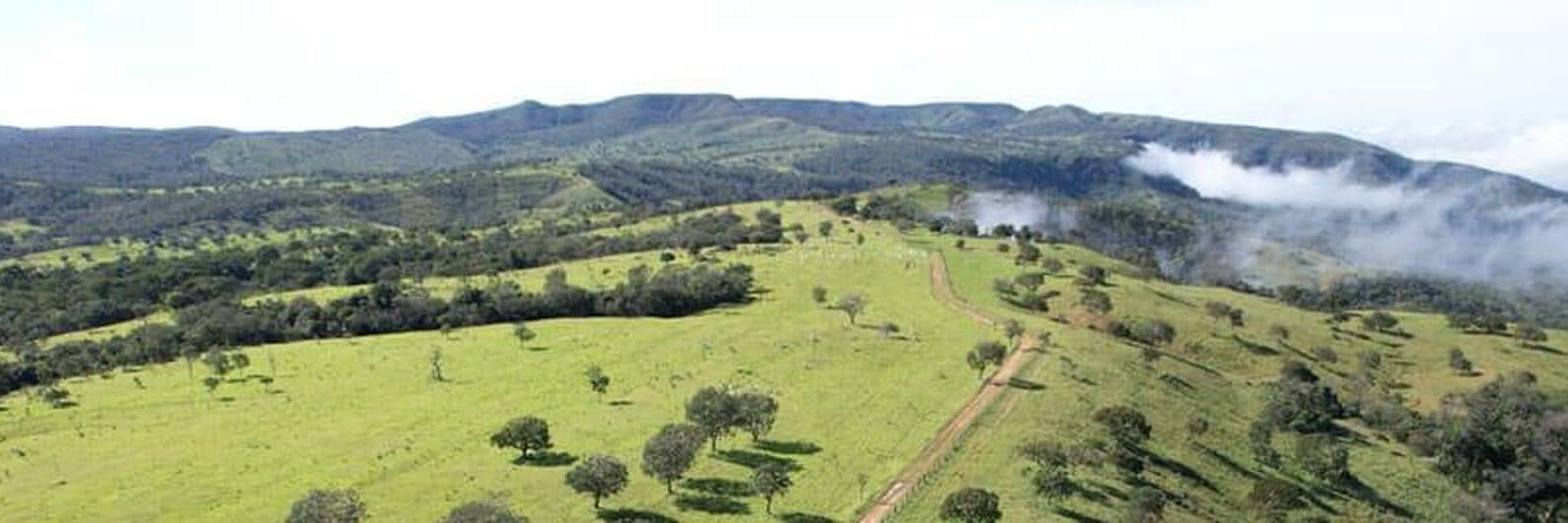 Pastagem formada em relevo ondulado, com mata nativa e neblina baixa sobre a serra