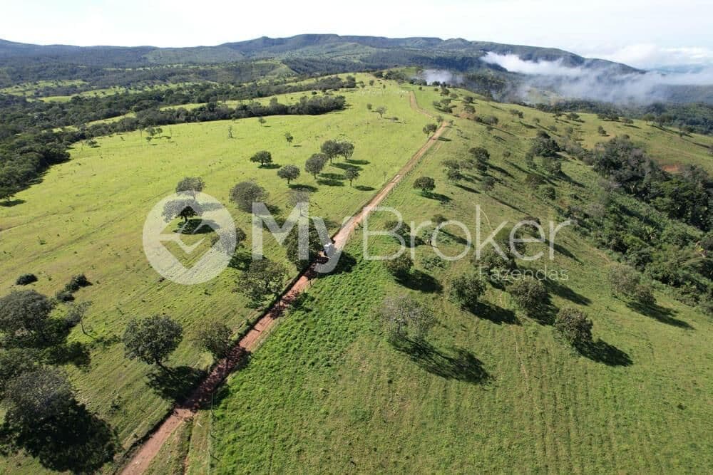 Vista aérea de pastagem formada com árvores esparsas e morros ao fundo, em Campinaçu