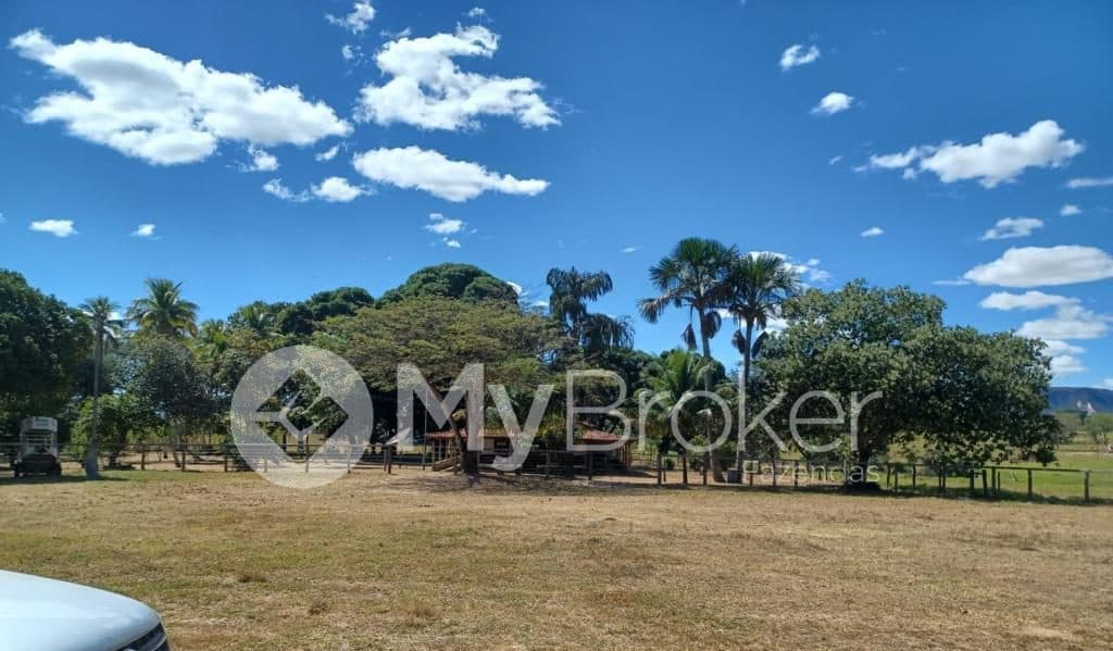 Área aberta com árvores nativas e céu de nuvens altas, em Campos Belos