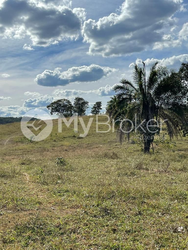 Cerrado aberto com palmeiras e céu de nuvens, em Morro Agudo