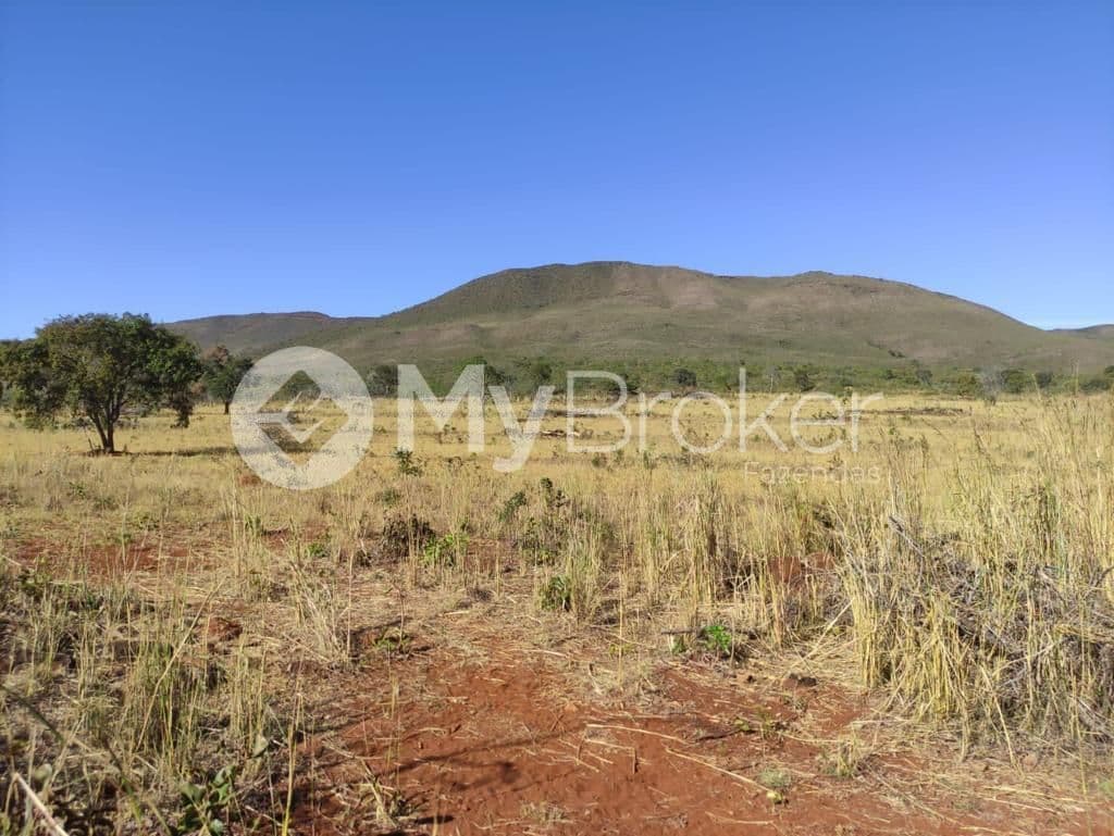 Pastagem aberta com a serra ao fundo, em Niquelândia