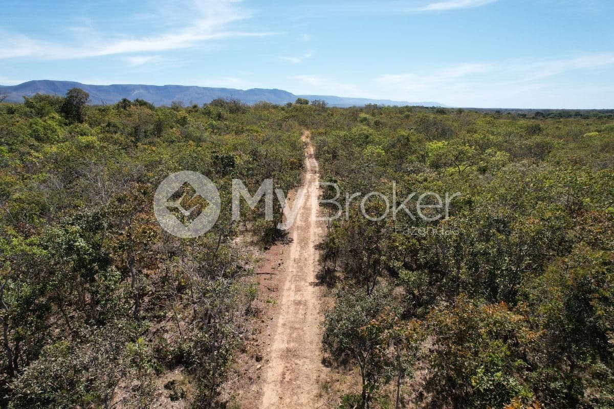 Estrada de chão cortando a vegetação de cerrado, em São João d’Aliança