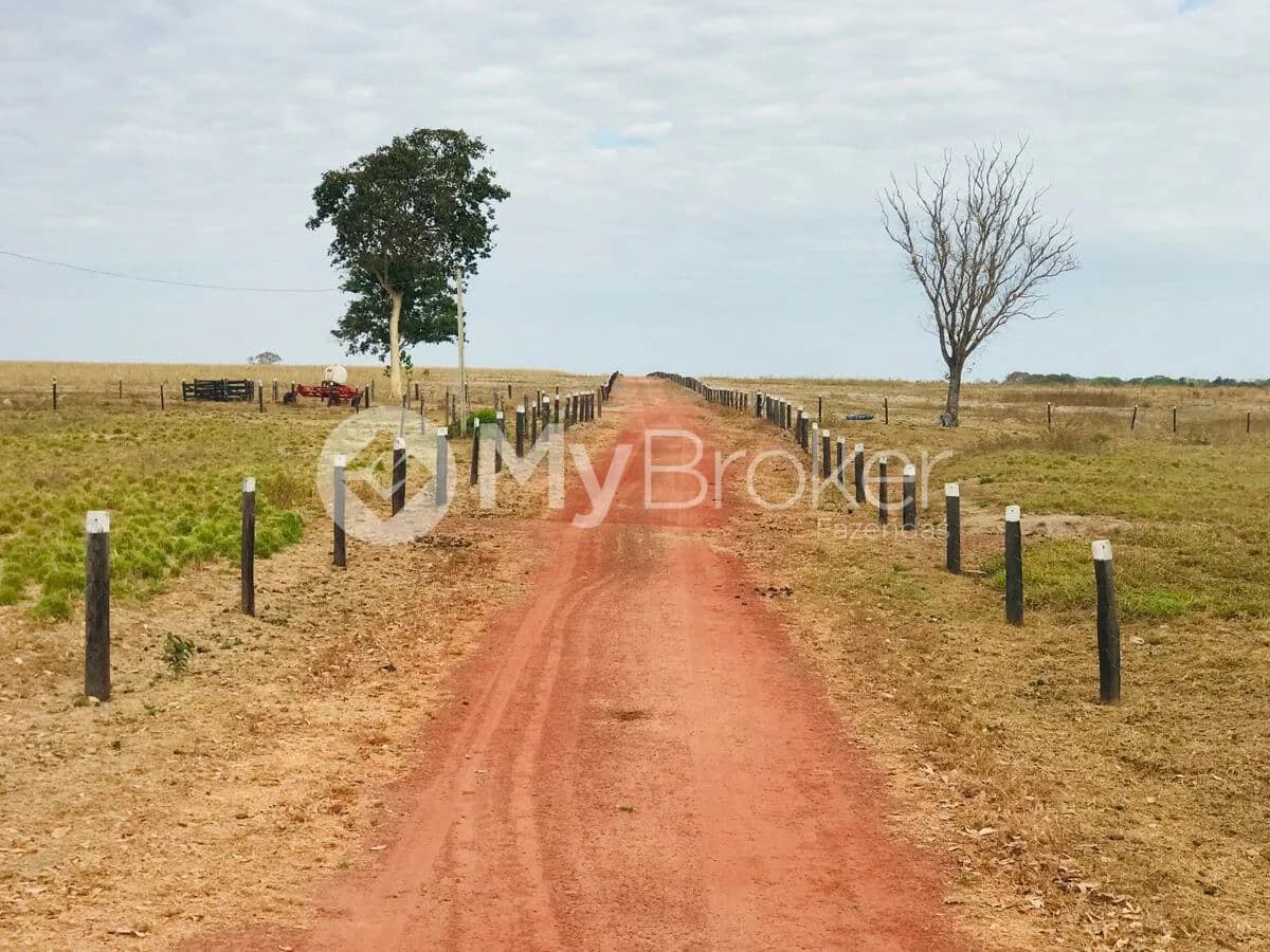 Estrada de chão entre cercas, com árvores ao longo da divisa, em São Miguel do Araguaia