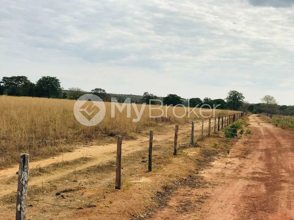 Pastagem em período seco, com árvores esparsas, em São Miguel do Araguaia