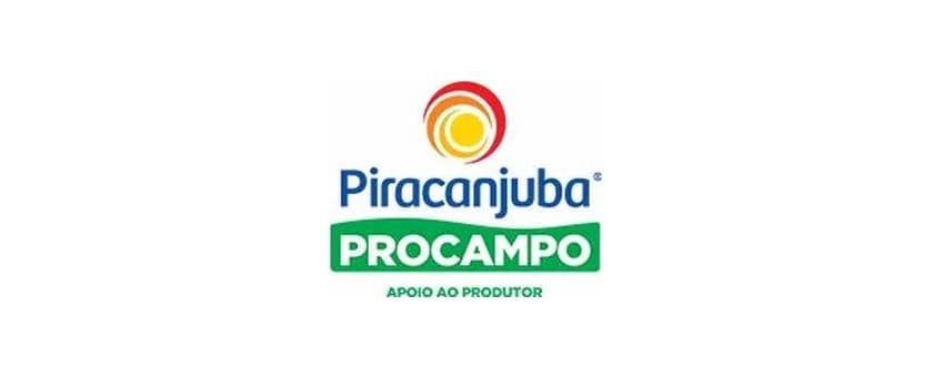 Piracanjuba