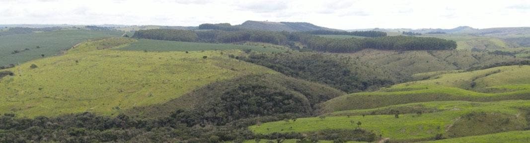 Relevo ondulado com pastagem formada e faixas de mata nativa