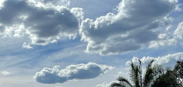 Céu de nuvens altas sobre palmeiras do cerrado