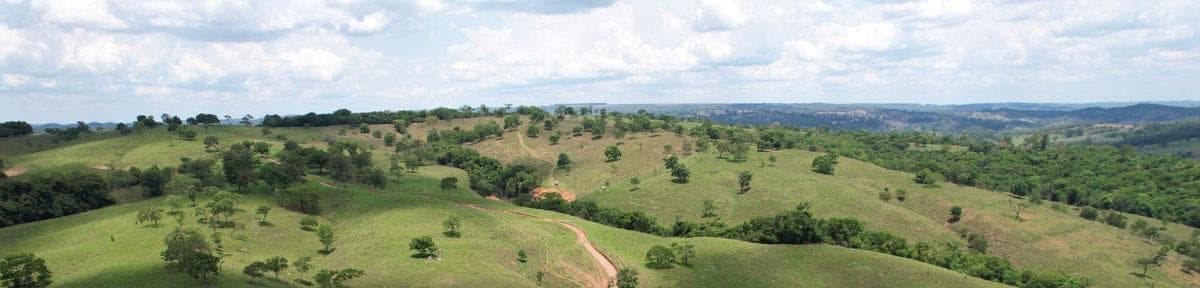 Relevo ondulado com pastagem formada e mata nativa até o horizonte