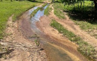 01-fazenda-formoso-my-broker-fazendas