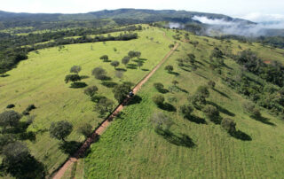 01-fazenda-para-gado-campinacu-my-broker-fazendas