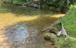 02-fazenda-formoso-my-broker-fazendas