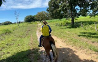 03-fazenda-formoso-my-broker-fazendas