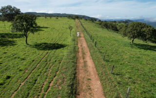03-fazenda-para-gado-campinacu-my-broker-fazendas