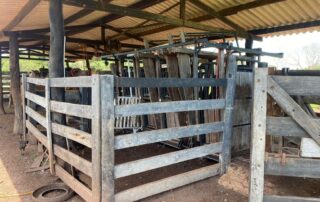 07-fazenda-formoso-my-broker-fazendas