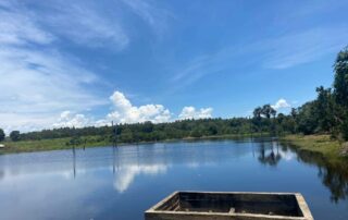 08-fazenda-formoso-my-broker-fazendas