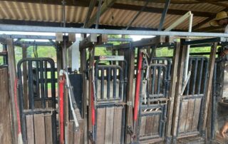 10-fazenda-formoso-my-broker-fazendas