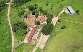 10-fazenda-para-gado-campinacu-my-broker-fazendas