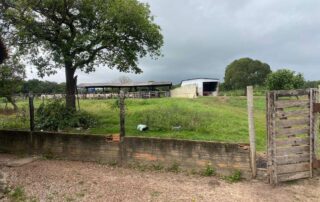 11-fazenda-formoso-my-broker-fazendas