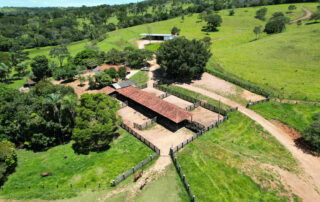 11-fazenda-para-gado-campinacu-my-broker-fazendas
