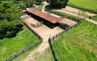 12-fazenda-para-gado-campinacu-my-broker-fazendas