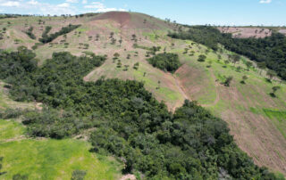 14-fazenda-para-gado-campinacu-my-broker-fazendas