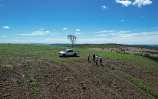 15-fazenda-para-gado-campinacu-my-broker-fazendas