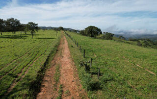 16-fazenda-para-gado-campinacu-my-broker-fazendas
