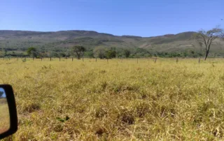 01-fazenda-municipio-de-niquelandia-614-hectares