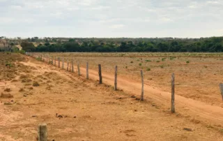 01sao-miguel-do-araguaia-230-alq
