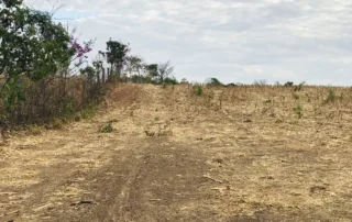 01sao-miguel-do-araguaia-280-alq