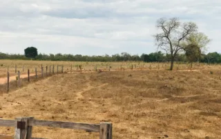 01sao-miguel-do-araguaia-380-alq