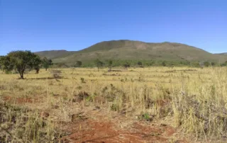 02-fazenda-municipio-de-niquelandia-614-hectares
