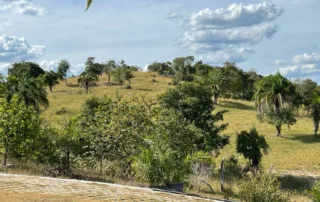 02-morro-agudo-go-200-alqueires-my-broker-fazendas