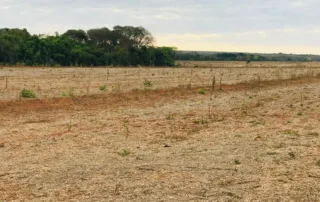 02sao-miguel-do-araguaia-380-alq