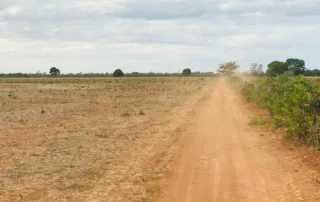 03sao-miguel-do-araguaia-230-alq