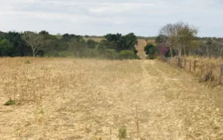 03sao-miguel-do-araguaia-280-alq