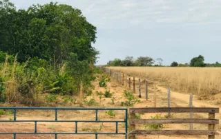 03sao-miguel-do-araguaia-380-alq