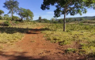 04-fazenda-municipio-de-niquelandia-614-hectares