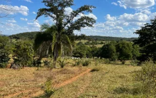 04-morro-agudo-go-200-alqueires-my-broker-fazendas