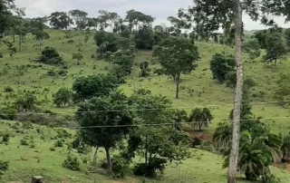 Uruana – GO – My Broker Fazendas