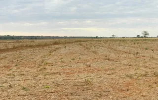 04sao-miguel-do-araguaia-230-alq