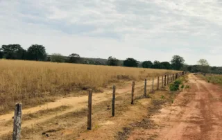 04sao-miguel-do-araguaia-380-alq