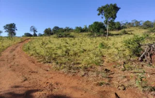 05-fazenda-municipio-de-niquelandia-614-hectares