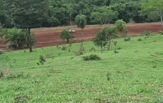 Uruana – GO – My Broker Fazendas