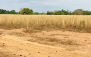 05sao-miguel-do-araguaia-230-alq