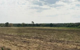 05sao-miguel-do-araguaia-380-alq