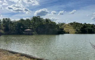 06-morro-agudo-go-200-alqueires-my-broker-fazendas