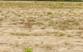 06sao-miguel-do-araguaia-230-alq