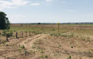 06sao-miguel-do-araguaia-280-alq